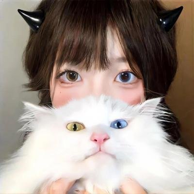 诺娃队长
